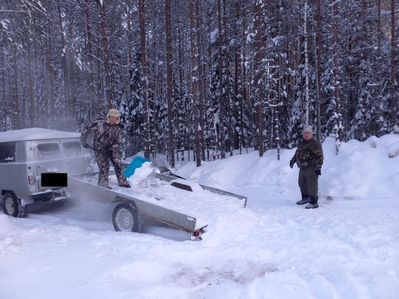 В Коми пересчитают лисьи тропы, а также волчьи, заячьи и другие