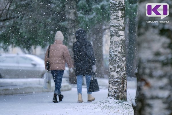 Погода в Коми 22 февраля: небольшой снег, -7°С