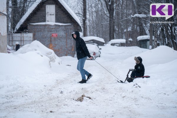 Погода в Коми 23 февраля: южный ветер, днем -3...-8°С