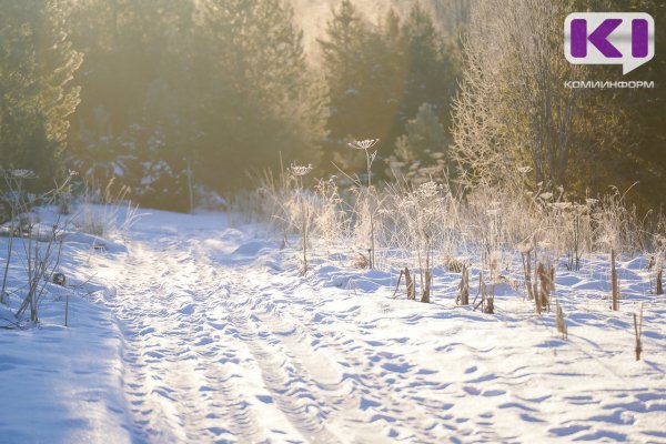 Погода в Коми 3 марта: днем до +3°С, на северо-востоке метель