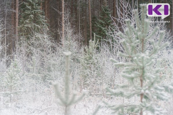 Погода в Коми 5 марта: похолодает, местами до -18°С