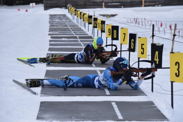 Соревнования по зимним видам спорта 