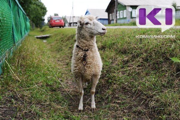 В Коми стартовал отбор в 