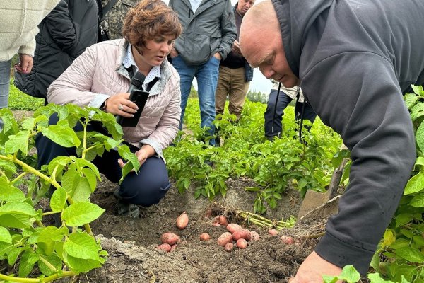 В Коми продолжается работа по проекту 