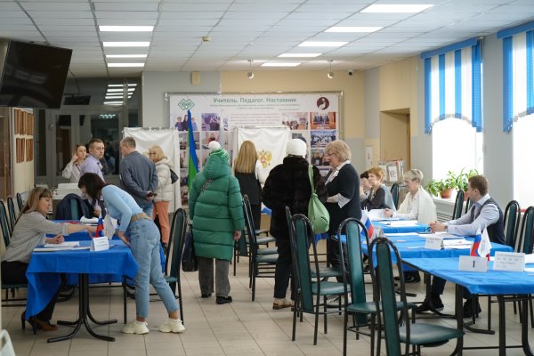 Все наши активисты и эксперты уже проголосовали - руководитель Народного фронта в Республике Коми