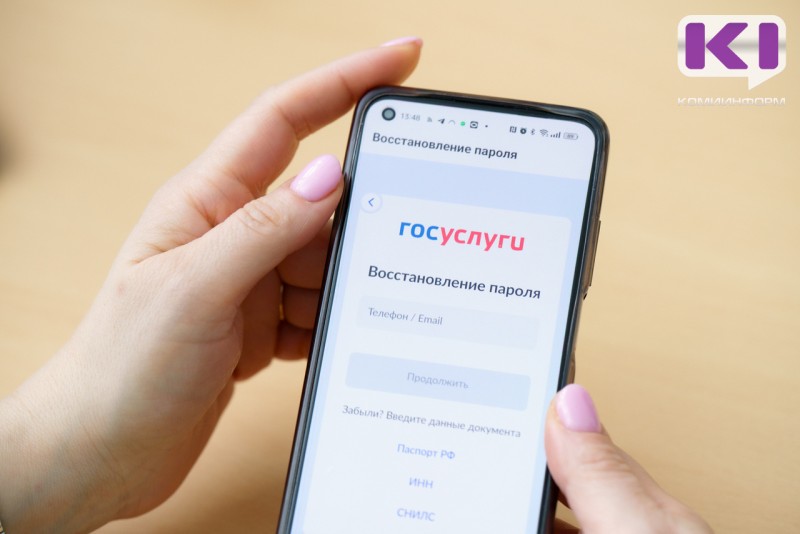 Жители Коми могут отследить статус оказания массовых социально значимых услуг онлайн