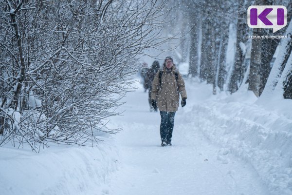 Погода в Коми 24 марта: дождь, мокрый снег, северный ветер