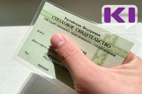 Отделение Социального фонда по Коми проактивно оформило 1165 СНИЛС новорожденным с начала 2024 года