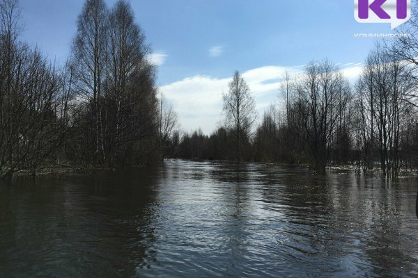 Весеннее половодье: рекомендации по безопасности