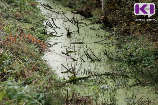 Виновный в гибели человека водитель снегоболотохода из Воркуты не смог обжаловать приговор суда