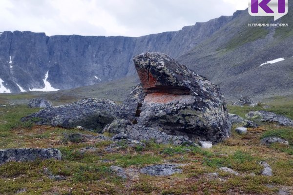 В нацпарке 