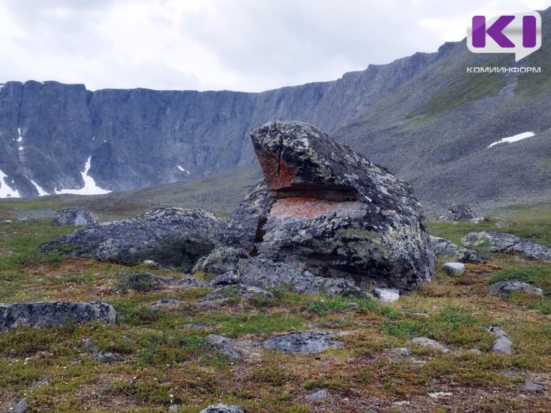 В нацпарке "Югыд Ва" выросла численность куниц, глухарей и зайцев-беляков