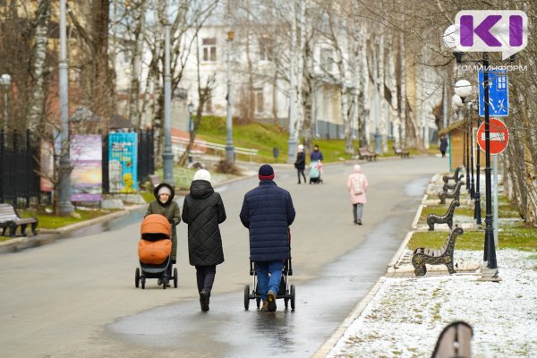 Погода в Коми 6 мая: небольшие осадки, +1...+3°С