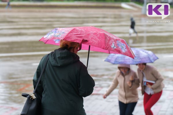 Погода в Коми 21 мая: на севере мокрый снег, на юге - гроза, дождь