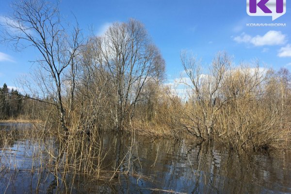 У деревни Загривочная на реке Пижма образовался затор льда - МЧС по Коми