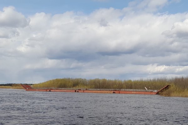 Коммунальщики Сыктывкара рассказали, когда установят мост в Заречье