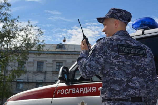 В Воркуте росгвардейцы задержали молодого человека, который пытался похитить шесть упаковок шашлыка