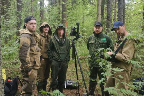 В Коми обследуют более семи миллионов гектаров леса