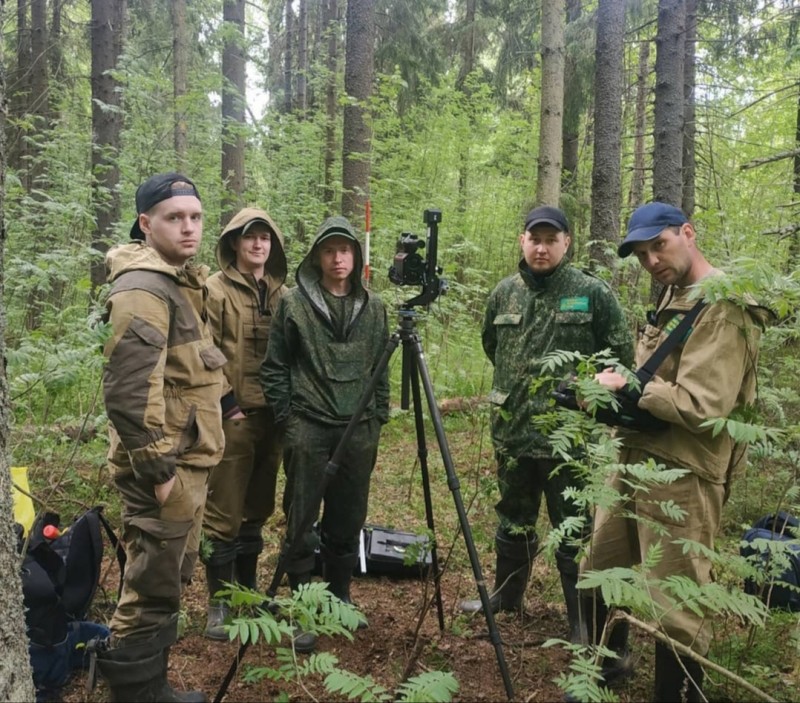 В Коми обследуют более семи миллионов гектаров леса