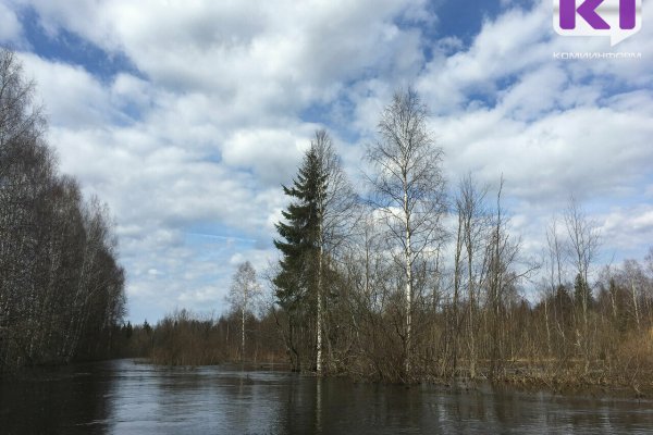 Погода в Коми 26 мая: ночью снег, днем преимущественно без осадков