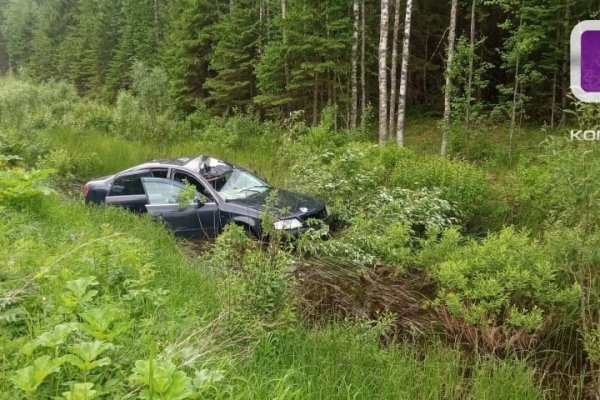 В Прилузье за сутки произошло два ДТП с лосем 