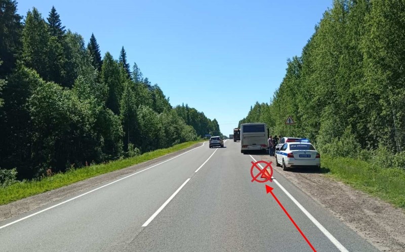 Три пассажира автобуса Сыктывкар - Корткерос получили термические ожоги /подробности/