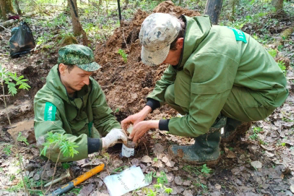 В Республике Коми будут заложены полигоны для изучения парниковых газов