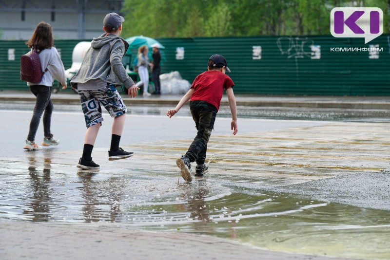 Погода в Коми 8 июля: дождь, гроза, +28°С