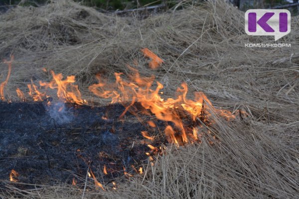 В Троицко-Печорском районе вспыхнул лесной пожар