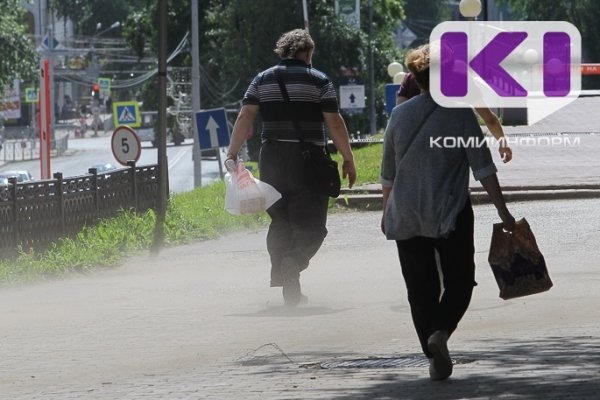 Погода в Коми 17 июля: гроза и шквалистый ветер