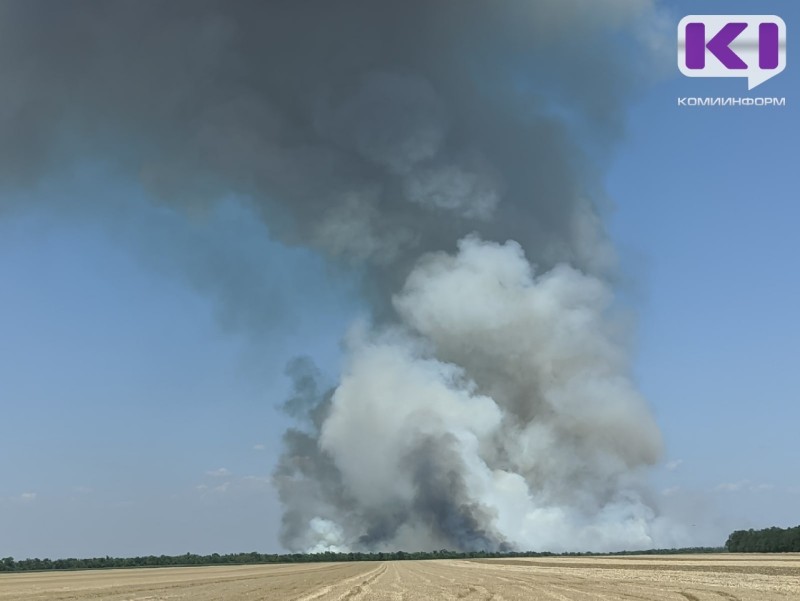 В Коми вспыхнуло два лесных пожара