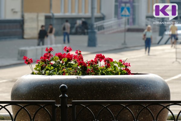 Погода в Коми 20 июля: ветрено и +25°С