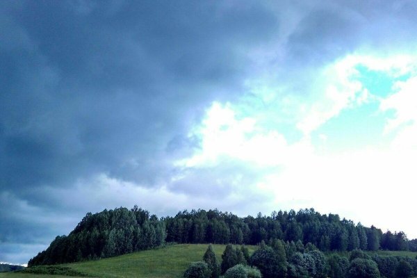 Синоптики рассказали, вернется ли лето в Сыктывкар