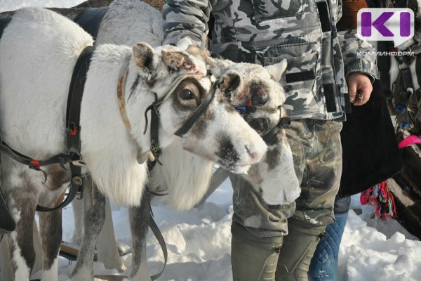 В Коми установлен День памяти участников оленно-транспортных батальонов в Великой Отечественной войне