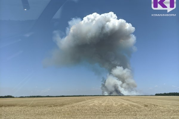 В Печорском районе локализован лесной пожар