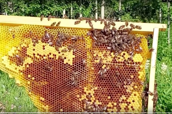 В Коми стартовали новые проекты 