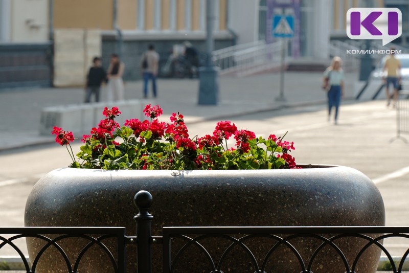 Погода в Коми 17 августа: северный ветер, днем +17...+22°С