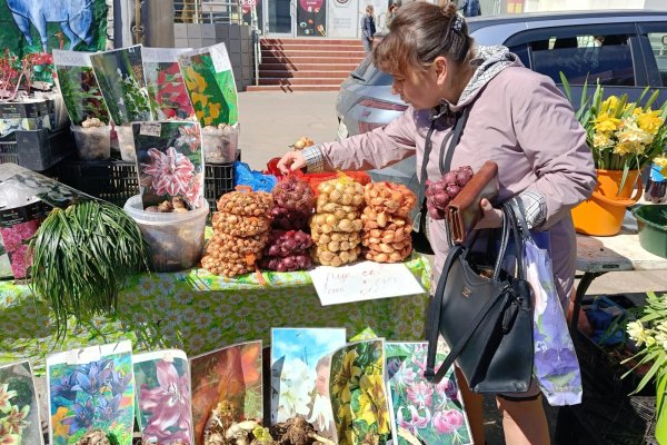 В Коми за минувшую неделю проведено 25 ярмарок с участием местных производителей