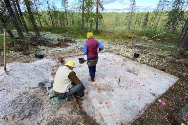 Ученые-археологи сделали первые находки в экспедиции в Ижемском районе