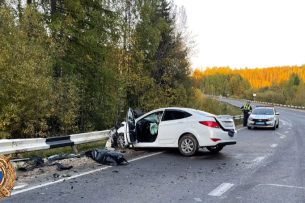 В Ухте возбуждено уголовное дело в отношении виновника смертельного ДТП