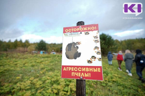 С 1 сентября начал действовать изменённый закон о пчеловодстве