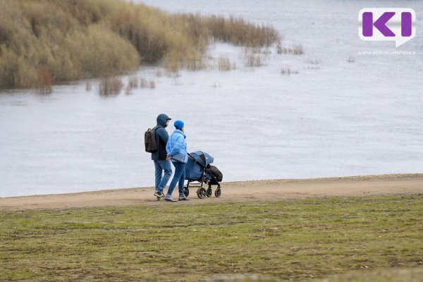 В Коми единое пособие получают родители 60 тысяч детей