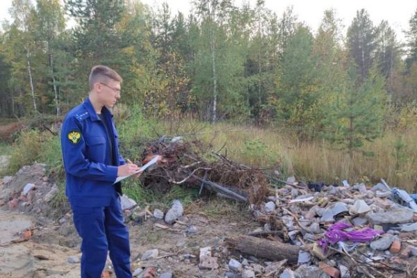 В Печоре после визита прокуратуры подрядчик добровольно вывез отходы после сноса аварийного дома 