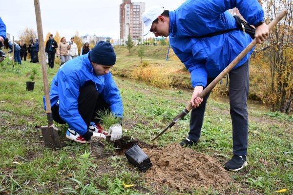 Волонтеры АО 