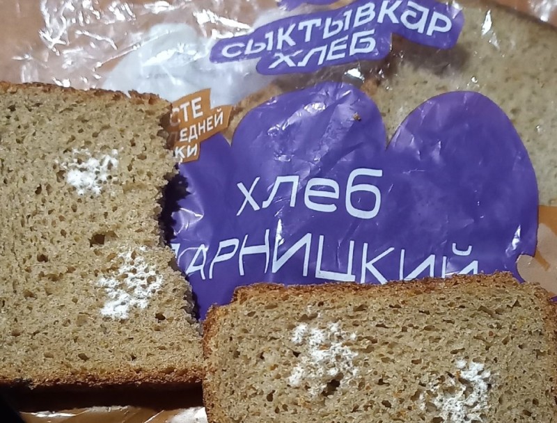 Плесень в продукции Сыктывкарского хлебокомбината появилась из-за грибка в цехе