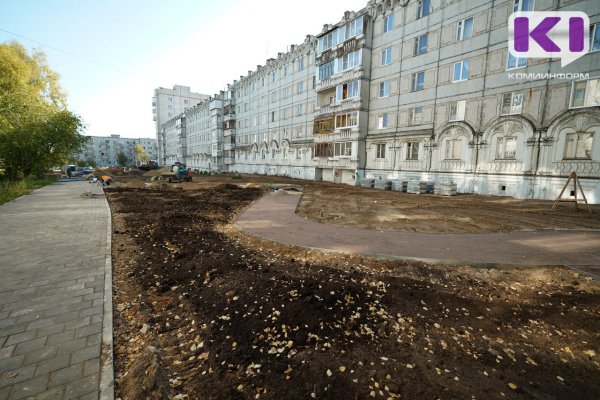 Стефанандра, клены, сирень и спирея украсят Яблоневую аллею в Сыктывкаре 