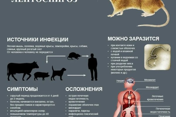 С января 2025 года в Коми начнется поголовная вакцинация крупного рогатого скота, овец, коз и лошадей против лептоспироза