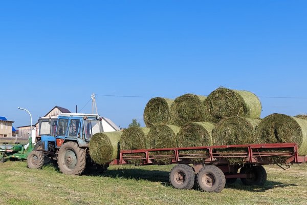 В Коми завершена кормозаготовительная кампания

