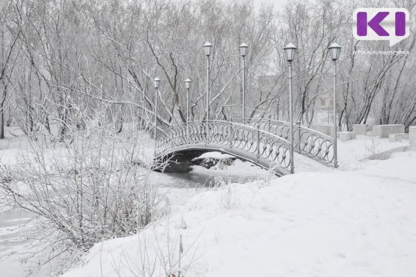 Погода в Коми 9 ноября: мокрый снег, гололед и метель