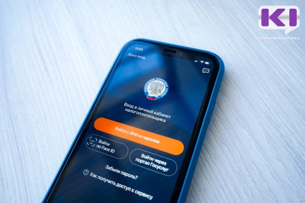 В Коми планируют ввести автоматизированную УСН